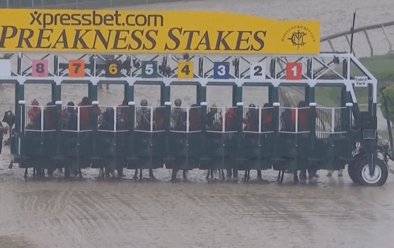 American Pharoah breaks from the gate in the 2015 Preakness Stakes