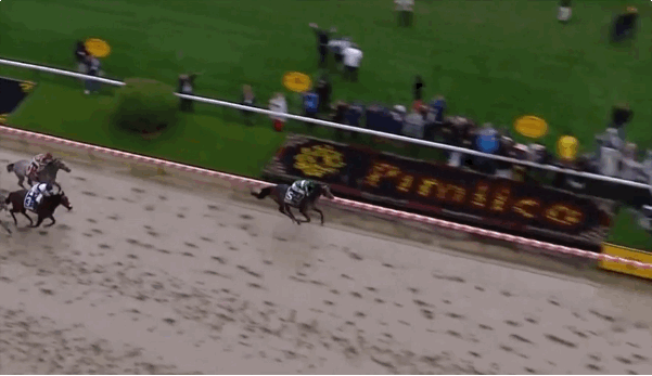 Exaggerator crossing the wire first in the Preakness