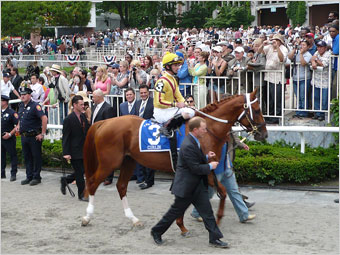 Curlin leaving the Belmont paddock