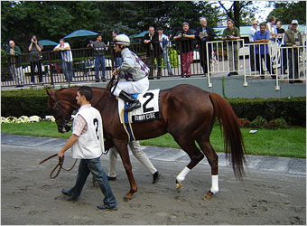 Funny Cide