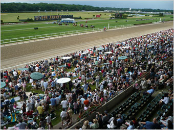 Manhattan Stakes field