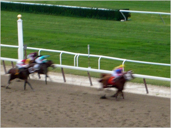 Rags to Riches and Curlin in the Belmont stretch