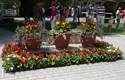 Planters cover the spot previously graced by a bronze Secretariat statue in the Belmont paddock