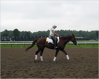 Funny Cide at Saratoga