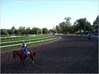 Main track restored