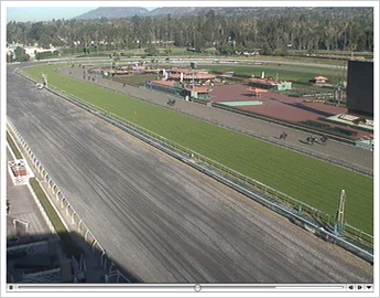 Santa Anita repair work