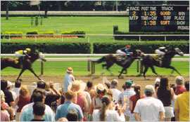 Saratoga 2004