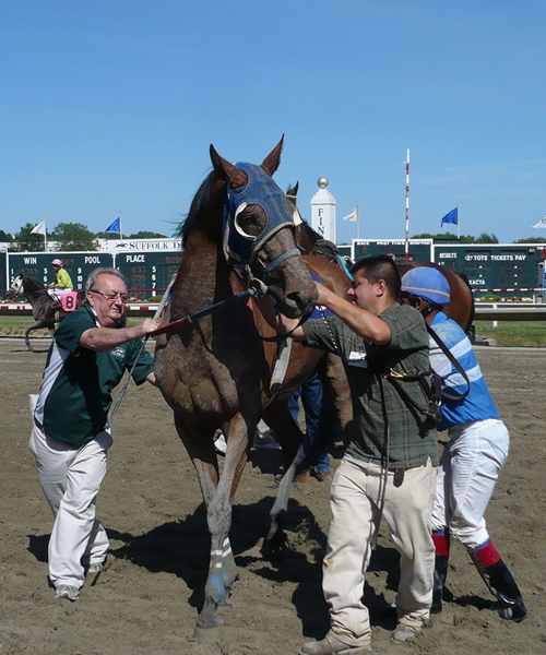 Unsaddling Southoftheborder after the 2010 Rise Jim Stakes at Suffolk Downs