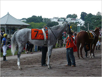 Evening Attire in the Suffolk Downs paddock before the 2007 MassCap