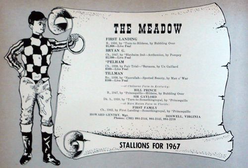 Ad for the Meadow from 1966